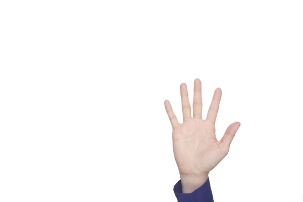 Hello WordPress 5!