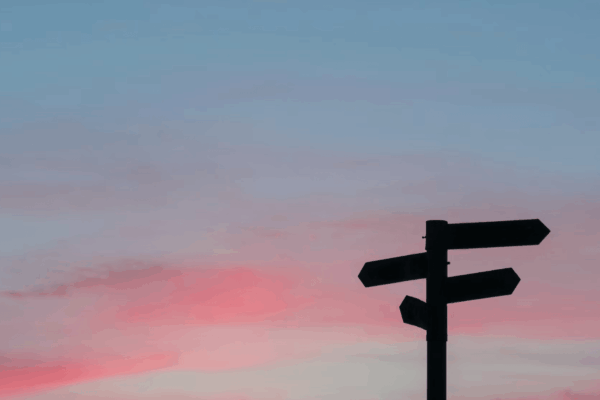 Choosing the Right Partner for Your WordPress Project: Agency, Freelancer or In-House