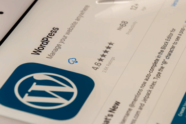 Benefits and Advantages of Using WordPress as a Custom CMS for your Website
