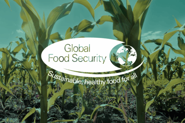 Flexible CMS WordPress Platform for Global Food Security