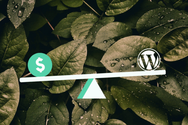Scaling Your WordPress Website as Your Business Grows