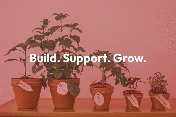 Build. Support. Grow: The Three Ways We Help Teams Do More With WordPress